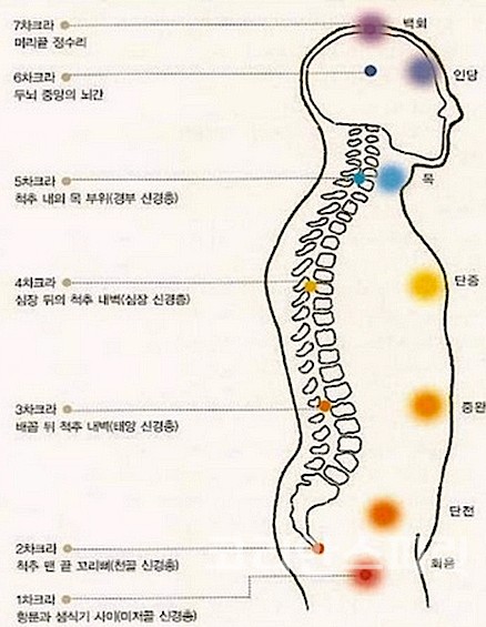 “건강체질 되는 비법은? 차크라 살리는 생활습관”