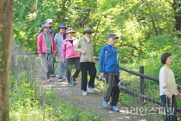 참가자들이 장생보법으로 숲을 걷고 있다. [사진=김민석 기자]