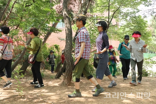 참가자들이 숲의 기운을 느껴보며 걷고 있다. [사진=김민석 기자]