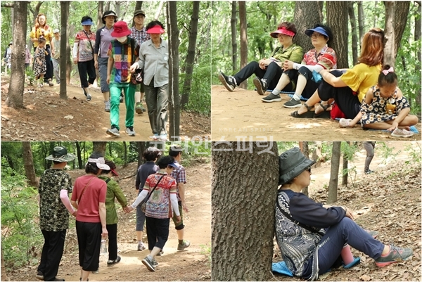 참가자들이 리더와 팔로워(왼쪽) 활동과 나무에 기대어 명상(오른쪽)을 하고 있다. [사진=김민석 기자]