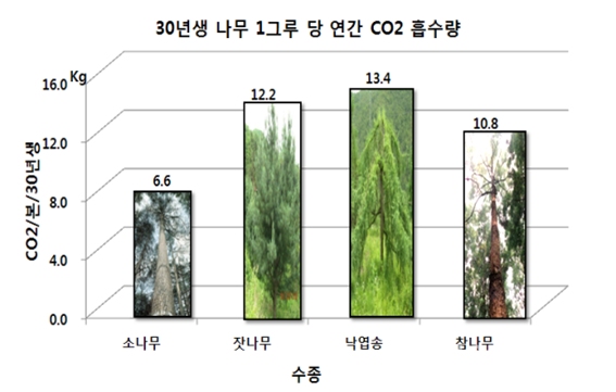 산림의 온실가스 감축효과. [자료=산림청]
