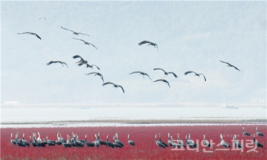 유네스코 생물권보전지역으로 지정된 금강산 지역. 지난 25일 인도네시아 팔렘방에서 열린 제30차 유네스코 인간과 생물권계획(MAB) 국제조정이사회에서 순천시 전역과 금강산이 유네스코 생물권보전지역으로 지정되었다. [사진=환경부]