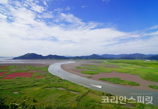 순천만. 지난 25일 인도네시아 팔렘방에서 열린 제30차 유네스코 인간과 생물권계획(MAB) 국제조정이사회에서 순천시 전역과 금강산이 유네스코 생물권보전지역으로 지정되었다. [사진=순천시]