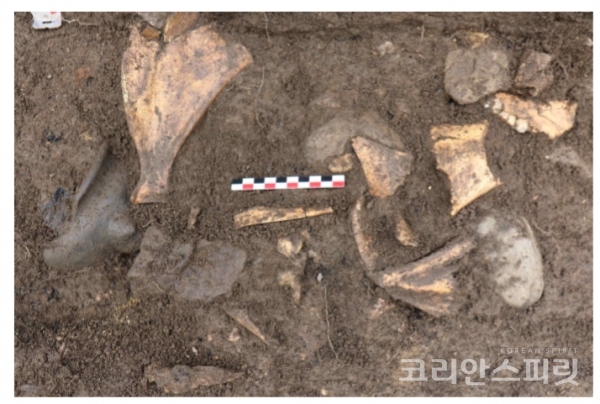 스타로레첸스코예 평지성 지하식 저장고 내 삼족기와 동물뼈 출토 모습. [사진=문화재청]