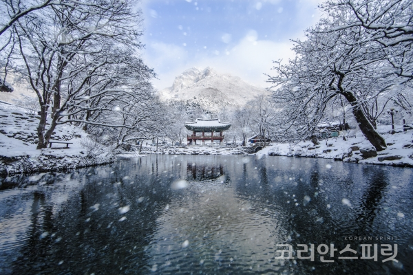 우수상 수상작인 정재환씨의 내장산 '쌍계루의 겨울' [사진=환경부]