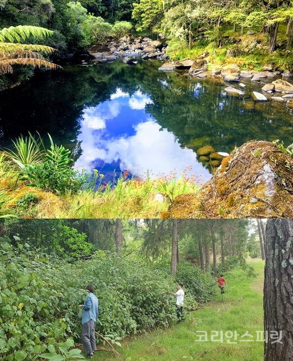 뉴질랜드 청폐명상 둘째 날, 케리케리 마고 홀리데이파크에서 강을 따라 걷고 숲의 향기를 마음껏 마셨다. [사진=본인 제공]