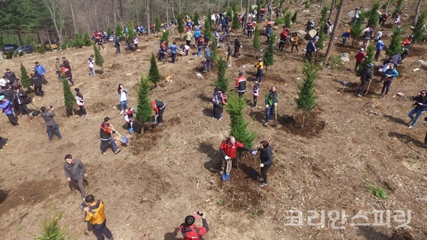 지난해 동부지방산림청이 주최한 나무심기 행사에서 시민들이 나무를 심고 있다. [사진=동부지방산림청]