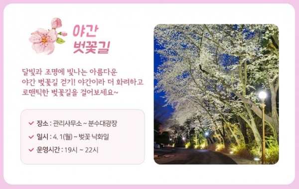 4월 1일부터 벚꽃 낙화일까지는 야간 벚꽃길을 걸을 수 있다. 달빛과 조명에 빛나 은은한 아름다움을 뽐내는 야간 벚꽃길 걷기를 추천한다. [이미지=서울대공원 홈페이지]