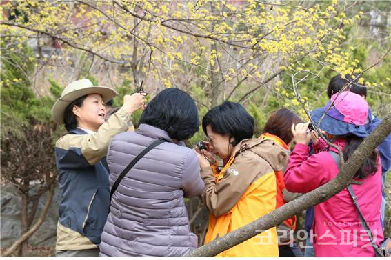 오는 5월 4일, 서울 북한산국립공원에서는 국립공원 봄 주간 맞이 기념행사가 열린다. 또한, 생태주간이 운영될 때는 향긋한 봄꽃과 맑은 도봉계곡을 배경으로 숲속에서 식사를 즐기는 '브런치 생태여행'이 진행된다. [사진=환경부]