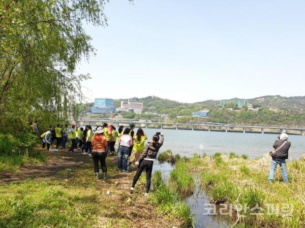 친환경EM흙공을 강물에 던지고 있는 참가자들 [사진=지구시민운동연합 서울강남1지부]