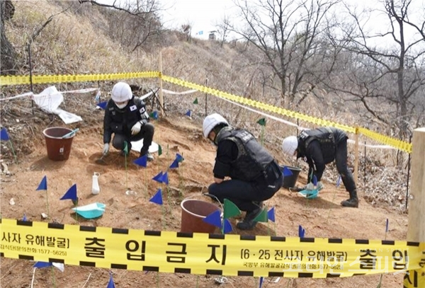 화살머리고지에서 유해발굴단 병력이 유해를 발굴하고 있다. [사진=국방부]