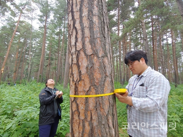 국립산림과학원 연구원이 중국 현지조사팀과 함께 산림조사를 진행하고 있다. [사진=산림청]