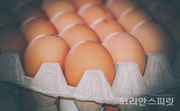 8월 23일부터 달걀껍데기 산란일자 표시제가 본격 시행된다. [사진=Pixabay 무료이미지]