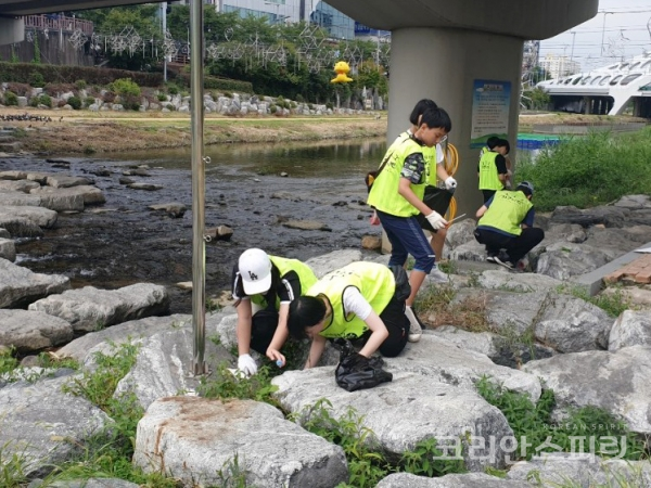 자원봉사자 학생들은 목척교 아래 대전천에서 쓰레기를 줍는 등 하천정화활동도 함께 진행했다. [사진=지구시민운동연합 대전지부]