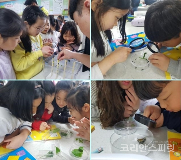 '호랑나비와 함께 날자!'프로그램에 참가한 전주 만성초등학교 3학년 학생들의 체험모습. [사진=농총진흥청]