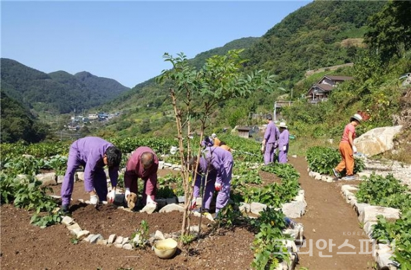 농촌진흥청이 운영하는 치유농업 프로그램 참가자들. [사진=농촌진흥청]
