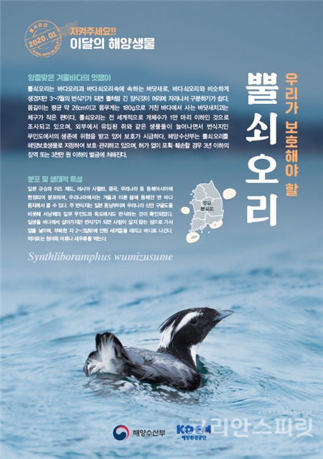 해양수산부는 멸종취약종인 바닷새 ‘뿔쇠오리’를 2020년 1월의 해양생물로 선정했다.[자료=해양수산부]