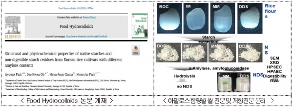 (왼쪽) 'Food Hydrocolloids' 논문게재. (오른쪽) 아밀로스 함량별 쌀 전분 및 저항전분 분리. [사진=농촌진흥청]