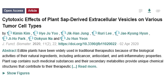 국제뇌교육종합대학원대학교 연주헌 교수팀이 황칠나무에서 추출한 황칠 수액 나노입자가 유방암에 항암효과가 있다는 것을 처음으로 밝혀냈다. 이 연구 결과는 국제저널 J. Funct. Biomater 최근호에 “Cytotoxic effects of plant sap-derived extracellular vesicles on various tumor cell types”라는 제목으로 게재됐다. [자료=J.Funct. Biomater 홈페이지 갈무리]