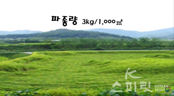 세계 최초 드론 이용 벼 직파 재배 [이미지=농촌진흥청 공식 유튜브 화면캡처]