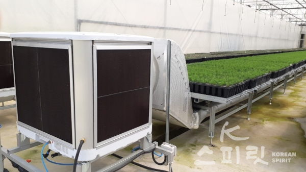 묘목 뿌리 생장점 위주 온실 냉방시스템 모델 적용을 위한 기화식 냉방장치 [사진=국립산림과학원]