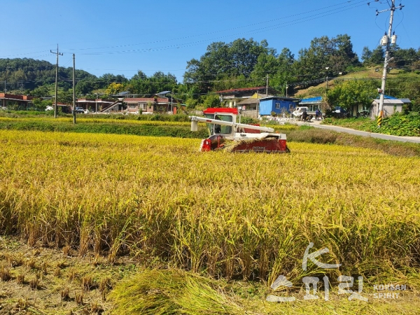 이승민 씨가 생산하는 쌀은 하늘과 땅, 사람의 기운을 듬뿍 먹은 '천지백미' , '천지현미'라는 이름으로 판매된다. [사진=본인 제공]