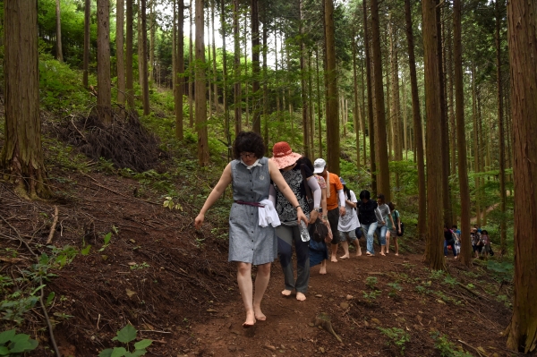 치유의 숲에서 맨발로 걷기를 하고 있는 프로그램 참가자들 [사진=국립산림과학원]