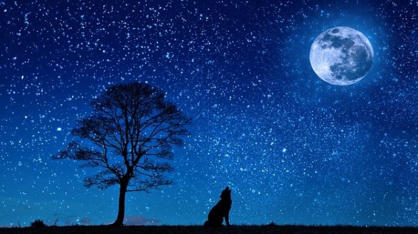 10월 31일은 음력 9월 보름으로 한 달에 보름달이 두 번뜨는 블루문이자 할로윈데이이다. [사진=Pixabay 이미지]