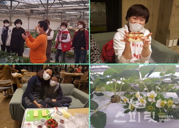딸기농장을 방문한 참가자들은 유기농으로 재배한 딸기를 활용해 딸기 티라미슈를 만들었다. [사진=HSP라이프]