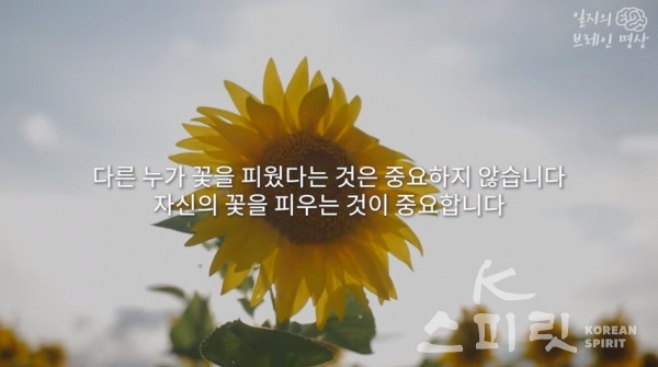 명상 유튜브 '일지의 브레인명상'에 등재된 '자신의 꽃을 피우는 것이 중요합니다' 영상. [사진=유튜브 영상 갈무리]