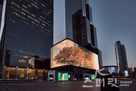 ‘Pivotal Tree'는 영상이 송출되는 코엑스 주변 환경과 빌딩을 스크린에 그대로 반영해 현실감을 느끼게 한다. [사진제공=서울문화재단]