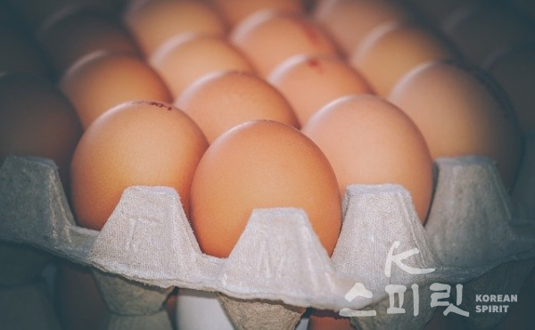 정부는 26일 국무회의를 통해 계란 수입에 적용되는 관세율을 6월 30일까지 0%로 인하하기로 했다. [사진=Pixabay 이미지]