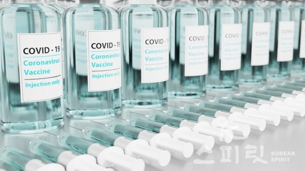 코로나19 백신 국내접종이 금주부터 시작된다. [사진=Pixabay 이미지]