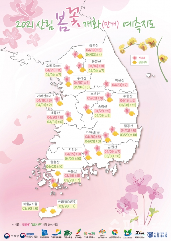 봄꽃 개화 예측 지도 [자료=국립수목원]