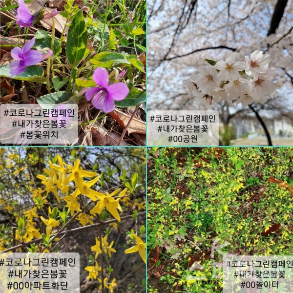 서울시는 4월 한달 간 '코로나 그림 캠페인'의 하나로, 가까운 공원 녹지에서 봄꽃 사진을 찍어 올리는 '시민과 함께하는 봄꽃 이벤트'를 개최한다. 사진은 이벤트 참여 예시. [사진=서울시]