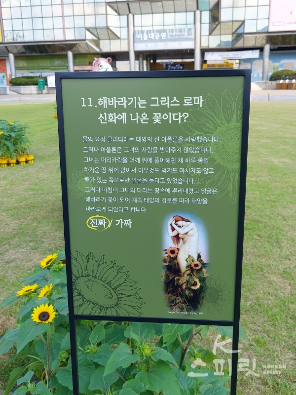 코로나19 장기화로 답답함과 우울함이 만연한 지금, 서울대공원원은공원을 찾는 시민들에게 희망과 즐거움을 전하고자 ‘희망의 해바라기 전시회’를 마련했다. [사진=서울시]
