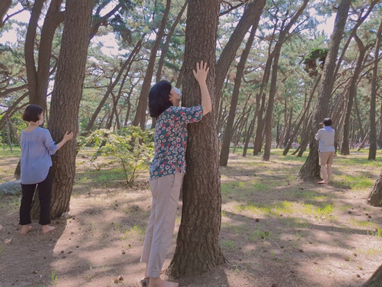 포항국학원의  “행복한 삶! 공생문화를 위한 힐링과 명상” 에서 참가자들이 나무명상을 하고 있다. [사진제공=포항국학원]