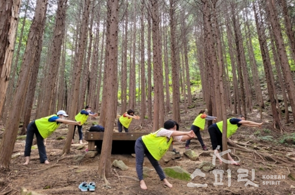 지구시민연합 명곡지회 회원들이 태복산 편백나무 숲에서 몸과 마음을 정화하는 체조를 하고 있다. [사진=지구시민연합 경남지부 명곡지회]