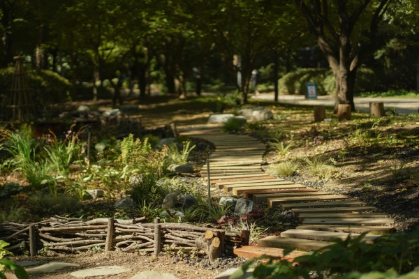 '야생화길' 서울숲을 운영하는 서울그린트러스트는 신한금융투자와 성수동 서울숲공원에 두 번째 느린 산책의 정원 '야생화길'을 조성했다. [사진=서울그린트러스트 제공]