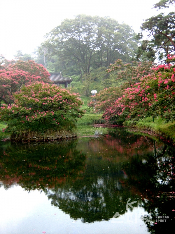 명옥헌 연못에 담긴 하늘과 주변 산수. 백일홍 붉은 꽃잎이 물결따리 넘실거린다. [사진=담양군청]
