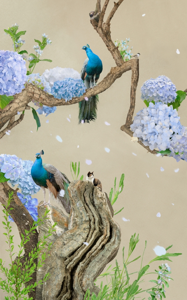 김시종(Kim Sijong), 수국과 공작 (Hydrangea and Peacocks), Pigment print on paper, 72.3 x 45.0 cm, Edition of 5. 2021. [사진=아뜰리에 아키]