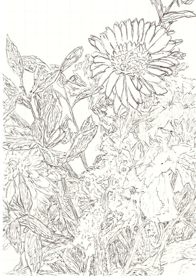 Flower, pen on paper, 12.5x8.5cm. 2021. [사진=유중아트센터 제공]