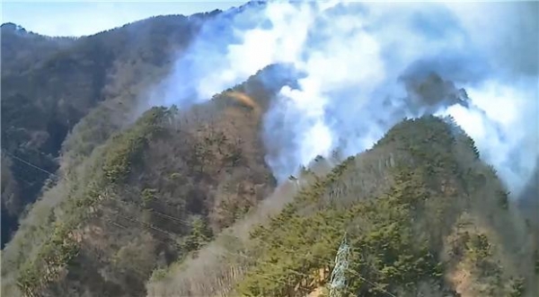영월 산불. [사진=산림청 제공]