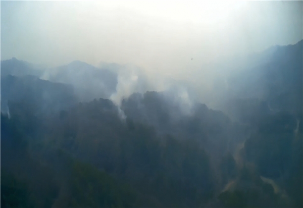 산불로 강릉 지역에 연기가 가득해 산림당국이 산불 진화에 어려움을 겪고 있다. [사진=산림청 제공]