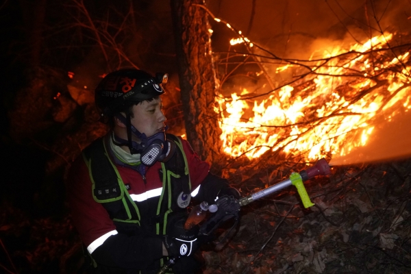 산림청 산림항공본부 소속 공중진화대원들이 7일  경북 울진군 북면 안말래길에서 금강소나무숲을 지키기 위해 밤샘 산불 진화 작업을 벌이고 있다. [사진=산림청 제공]