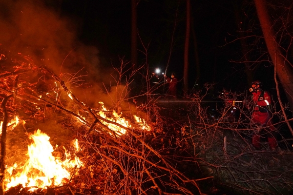 산림청 산림항공본부 소속 공중진화대원들이 7일  경북 울진군 북면 안말래길에서 금강소나무숲을 지키기 위해 밤샘 산불 진화 작업을 벌이고 있다. [사진=산림청 제공]