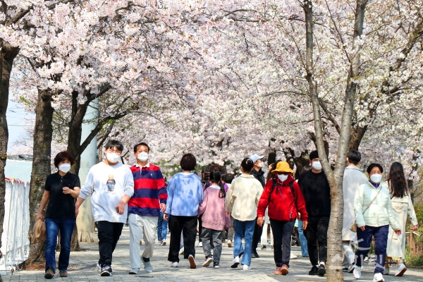 봄나들이 인파가 가득한 여의도 벚꽃길 [사진=김경아 기자]