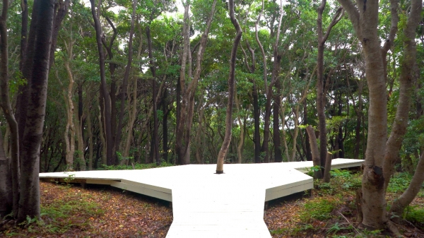 일본 연수원 황칠숲 [사진 일본 연수원]