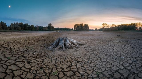 기후위기의 징조가 현실로 나타나고 있다. 현재 유럽의 가뭄은 500년 만의 최악이라 평가되고 있다. [사진 Pixabay 이미지]