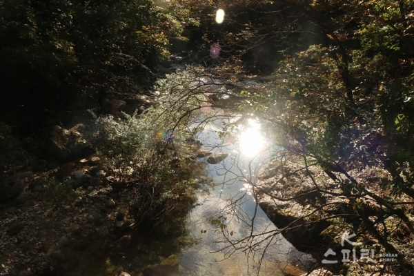 황룡사 계곡 입구 다리에서 본 계곡 물 위로 가을 햇살이 부서진다. [사진 강나리 기자]